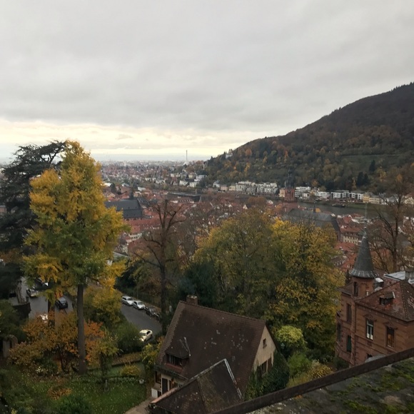 5 ⭐️ recommended seller - Picture 9 of 13